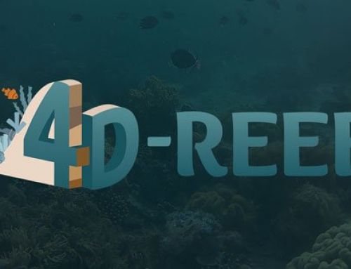 1st Network Training Activity for the 4D-REEF Consortium